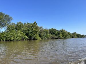 View of the Anacostia River shoreline