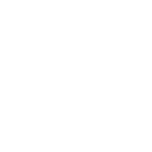 SPUR LOCAL CRITICAL NONPROFIT
